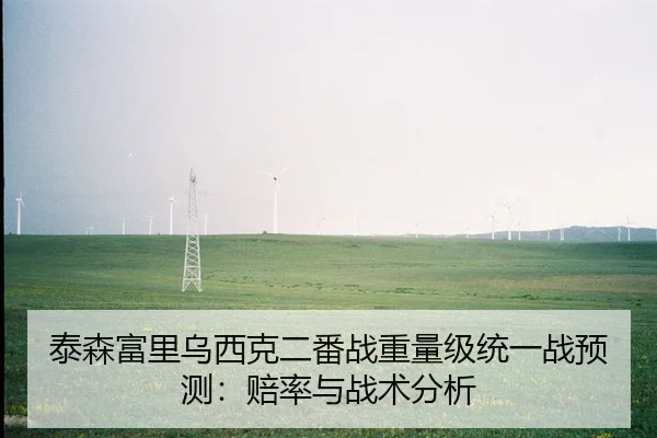 泰森富里乌西克二番战重量级统一战预测：赔率与战术分析