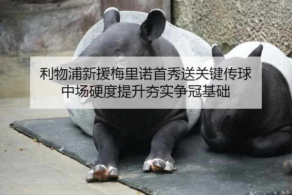 利物浦新援梅里诺首秀送关键传球 中场硬度提升夯实争冠基础